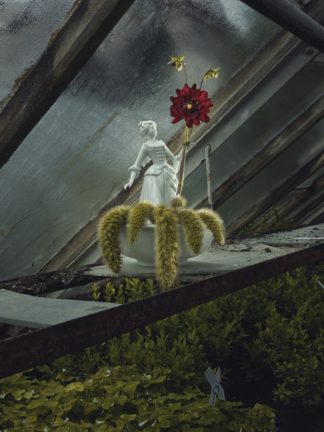 Rokokobana: 1 figura